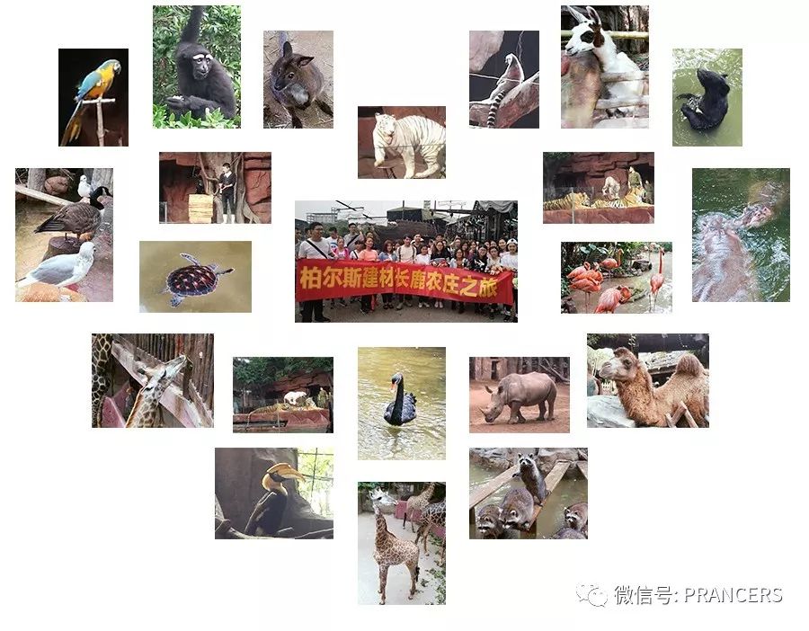 柏爾斯建材廠(chǎng)慶